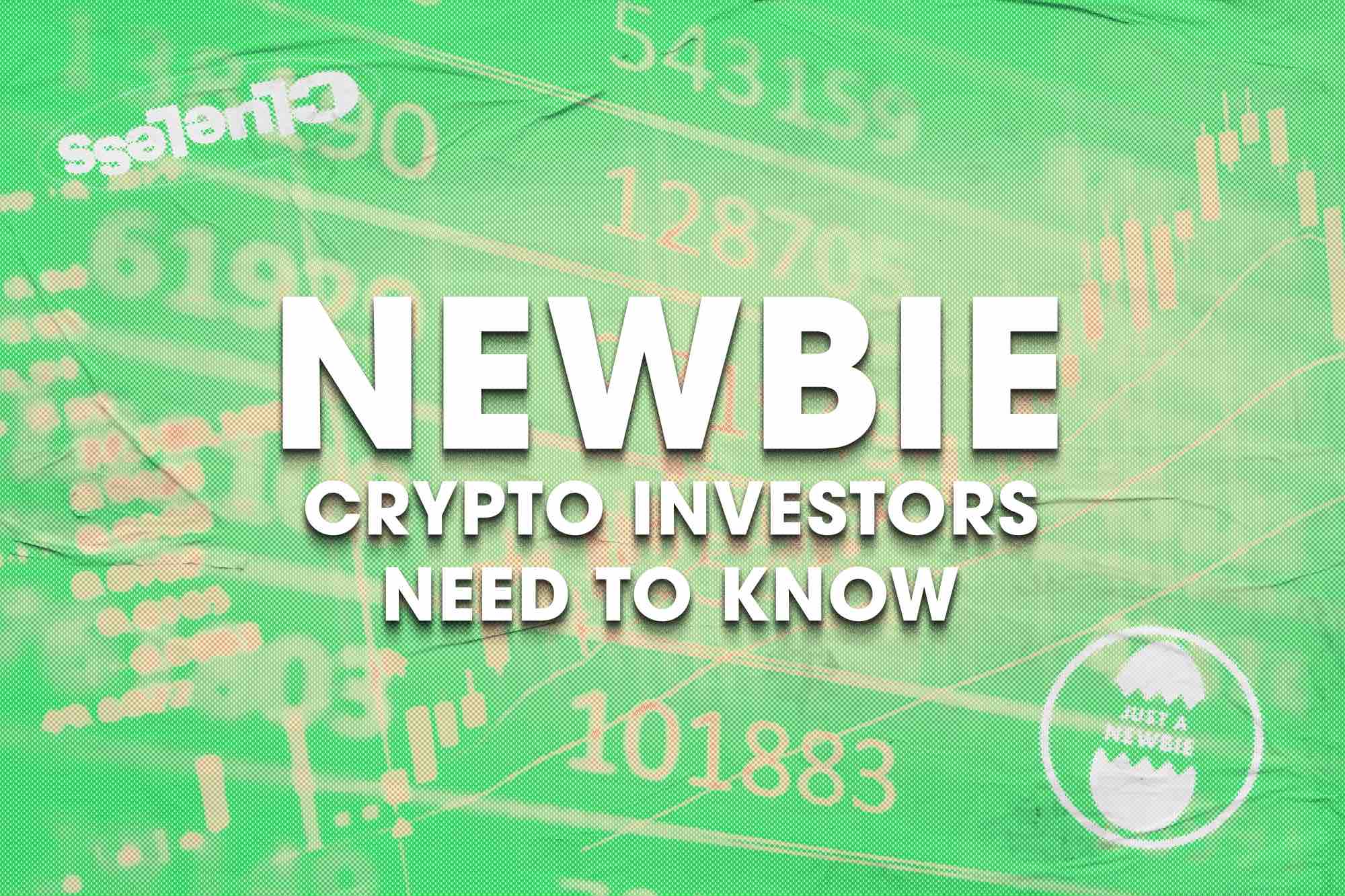 What crypto newbies need to know